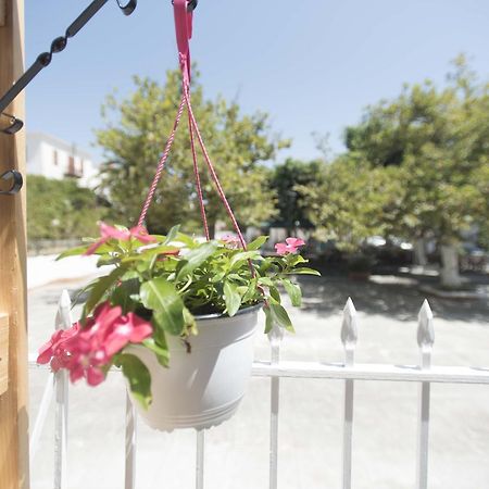 Hotel Finikas 迈索尼 外观 照片